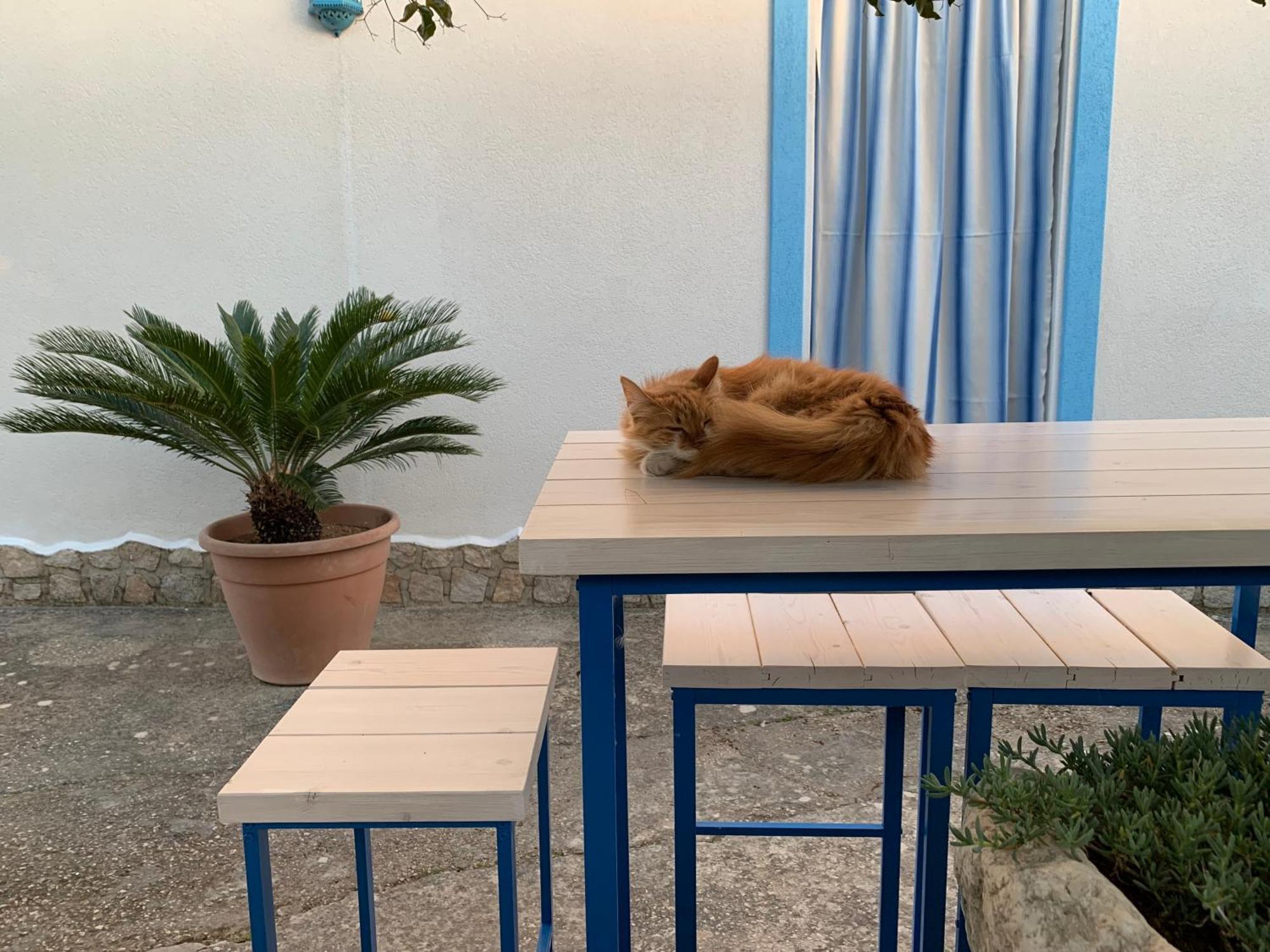 Bed&Breakfast Sole Azzurro Custonaci Esterno foto