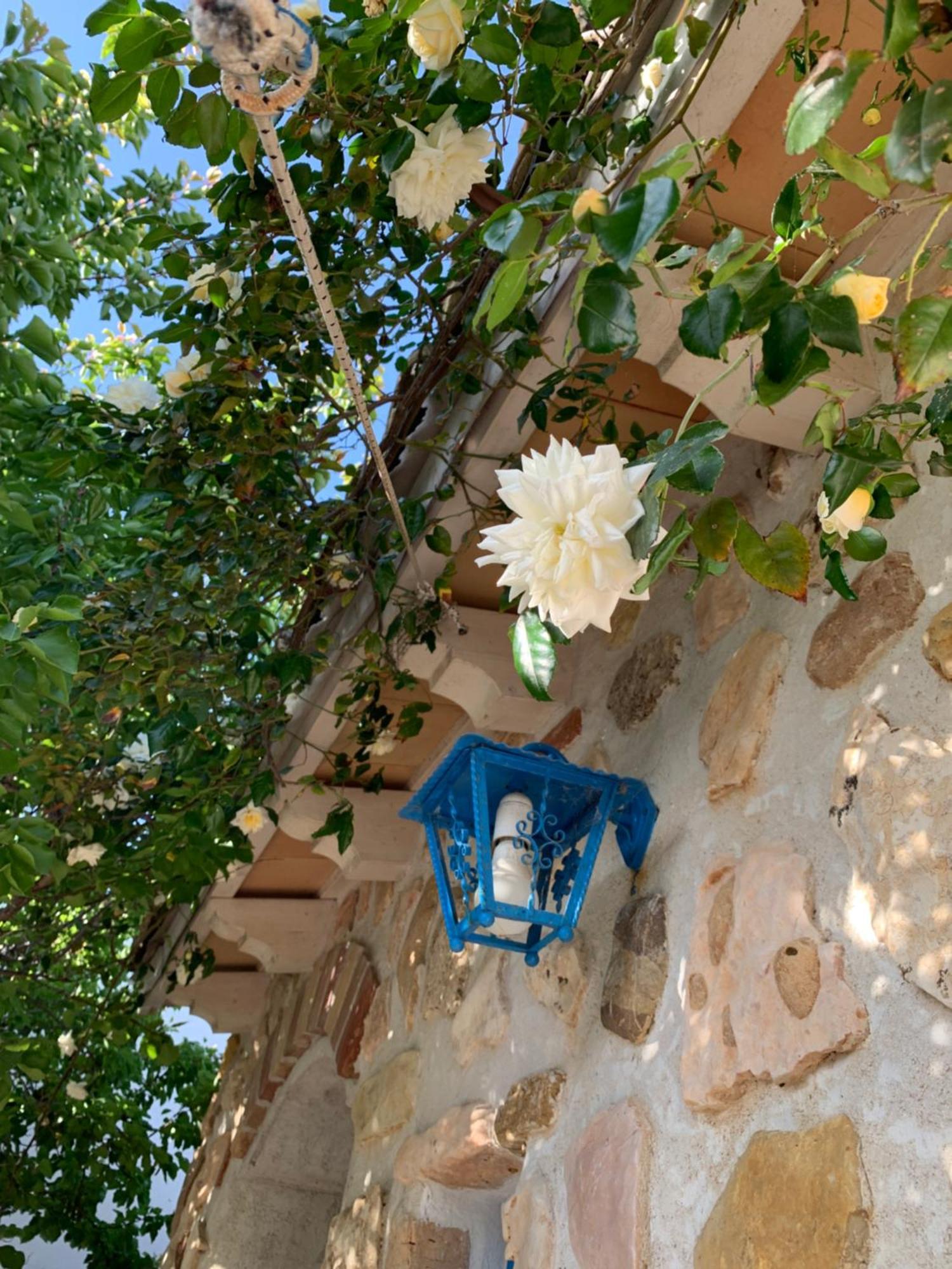 Bed&Breakfast Sole Azzurro Custonaci Esterno foto