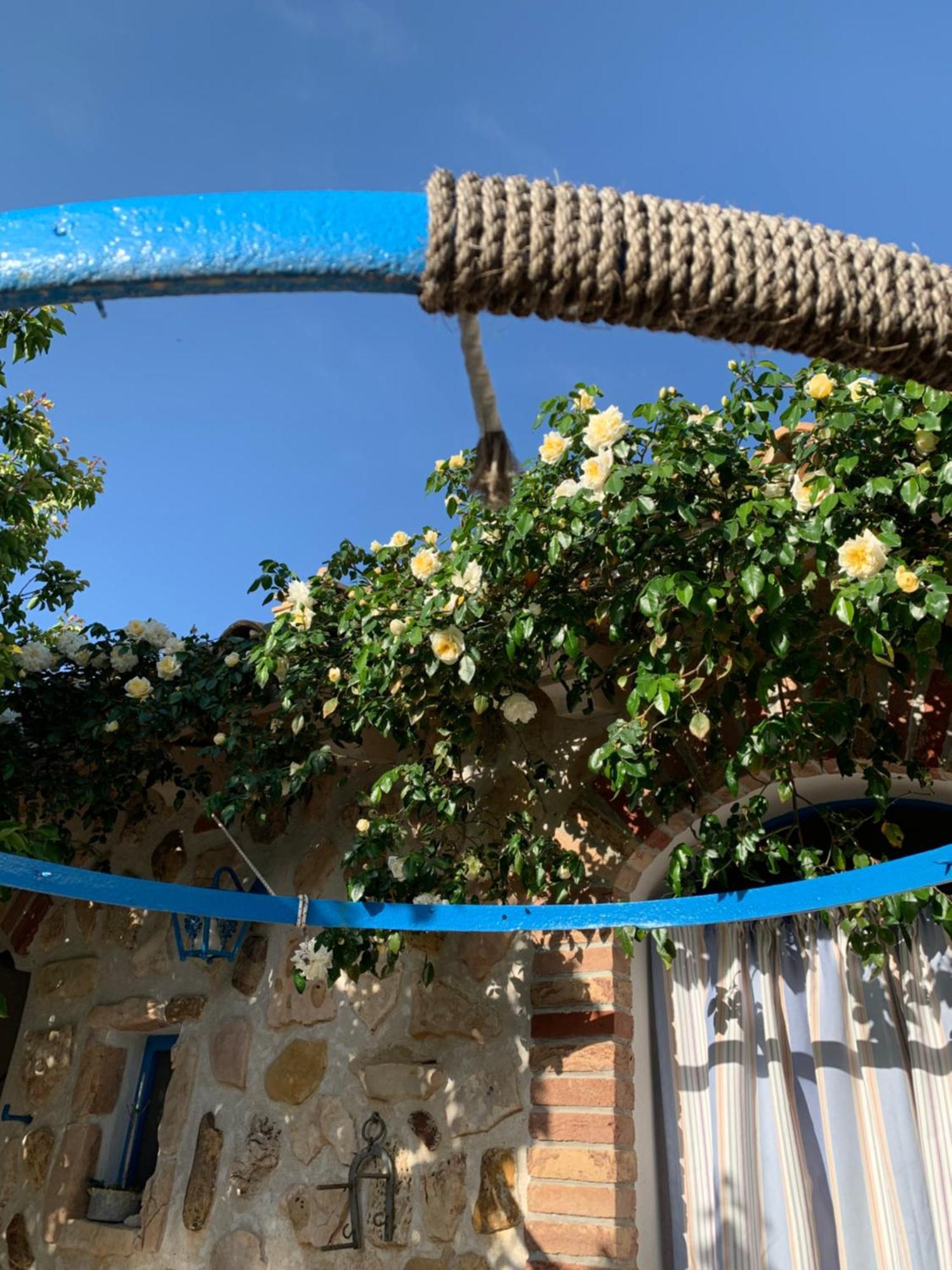 Bed&Breakfast Sole Azzurro Custonaci Esterno foto
