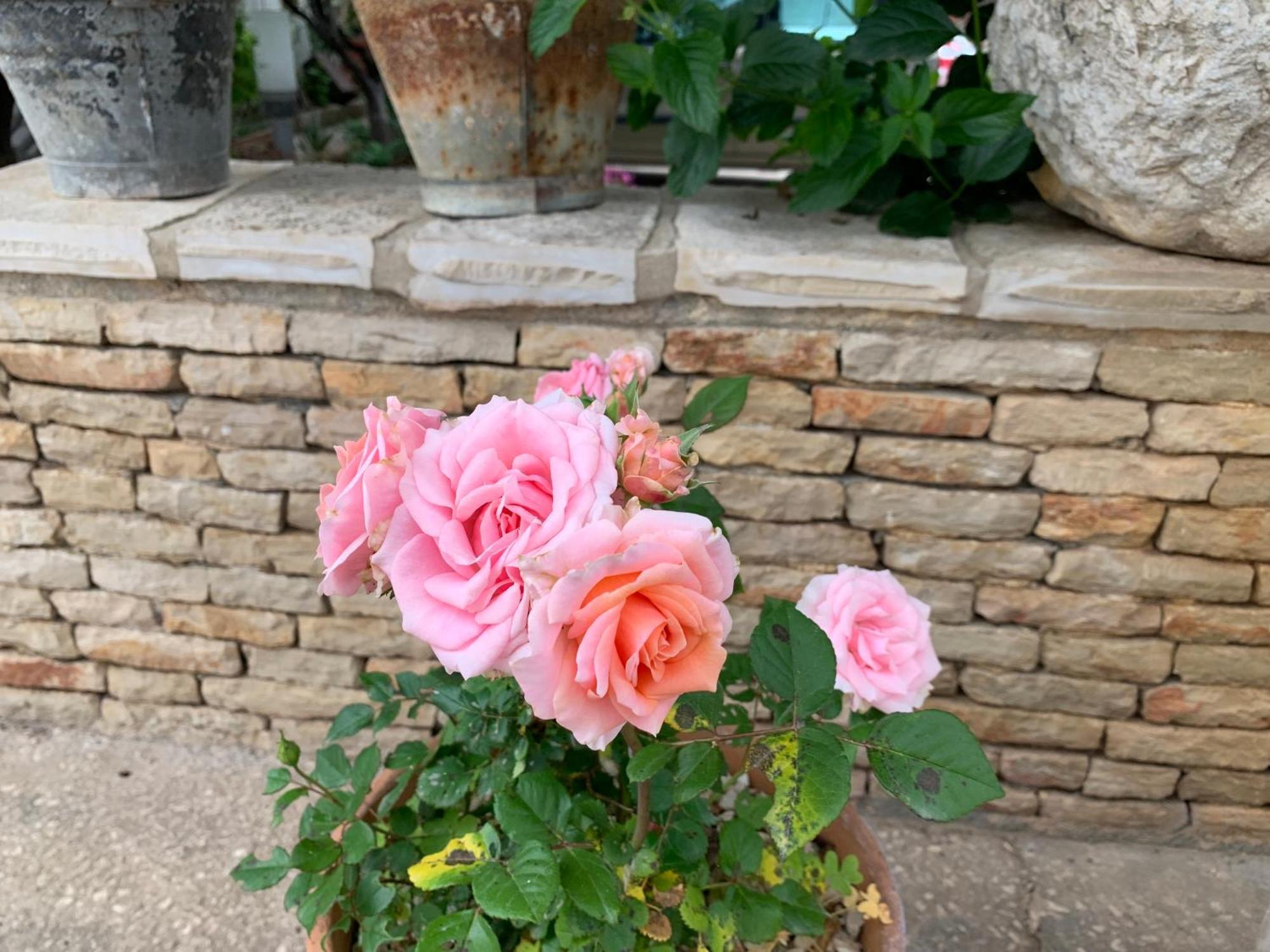 Bed&Breakfast Sole Azzurro Custonaci Esterno foto