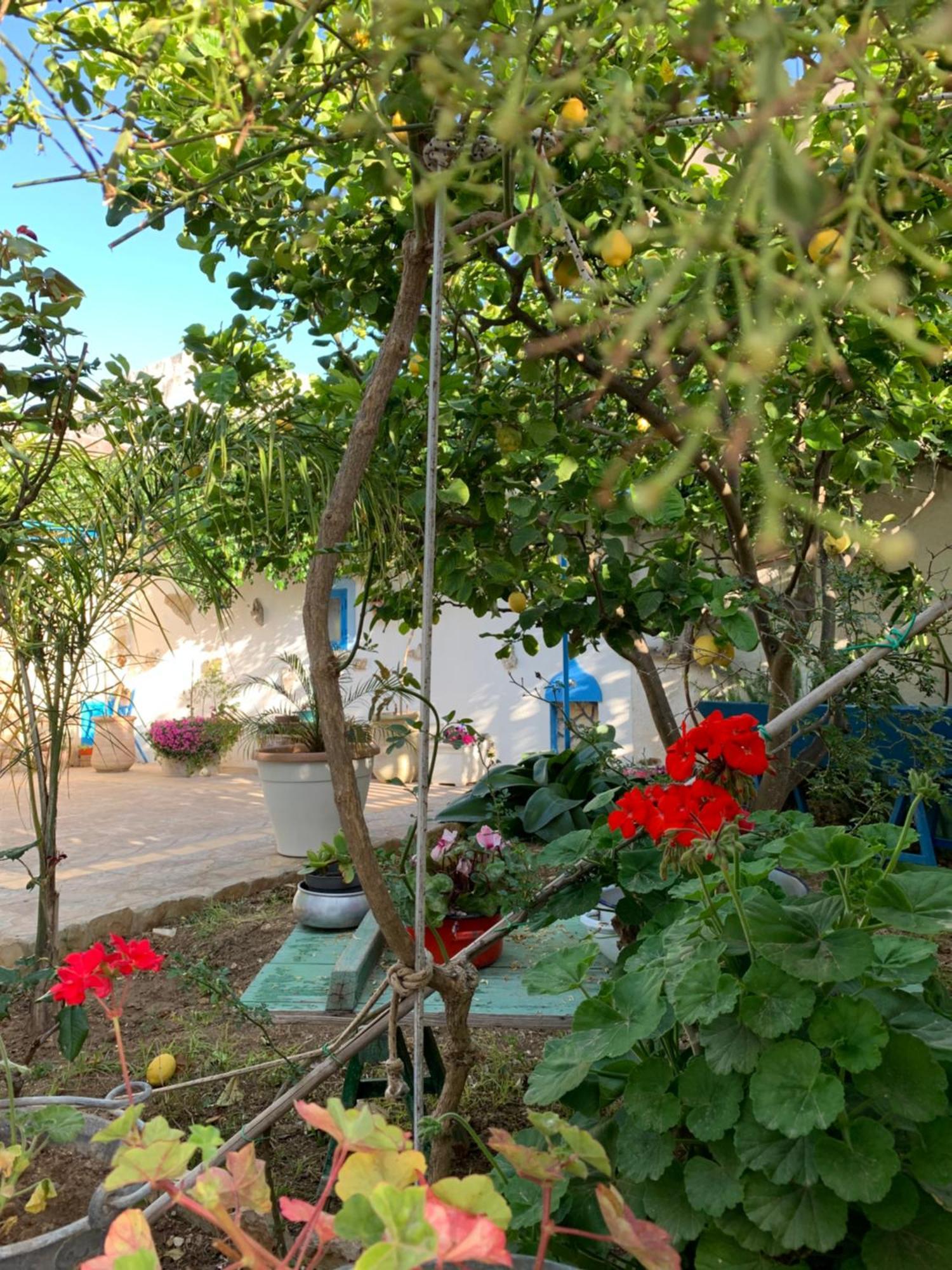 Bed&Breakfast Sole Azzurro Custonaci Esterno foto